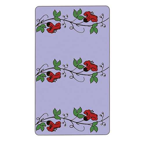 Cardshouse – wholesale Tarot-kort – The Wonderland Tarotkort i plåtask från Us Games Systems7