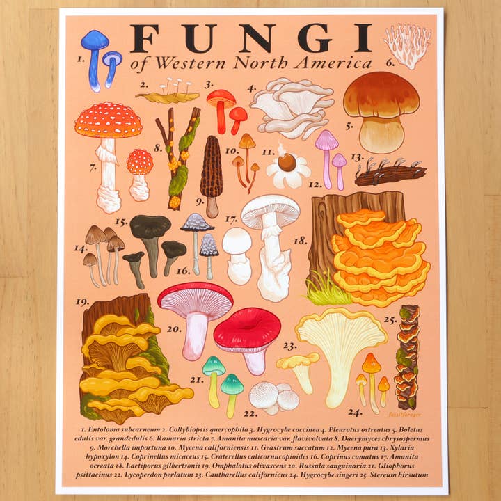 Fungi of Western North America Print for wholesale by Fossil Forager