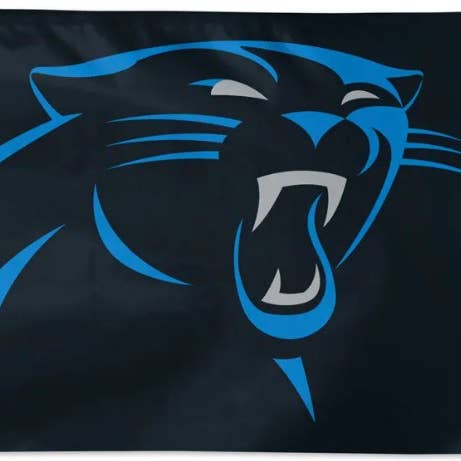 Panthers de la Caroline pour la vente par Flags Unlimited