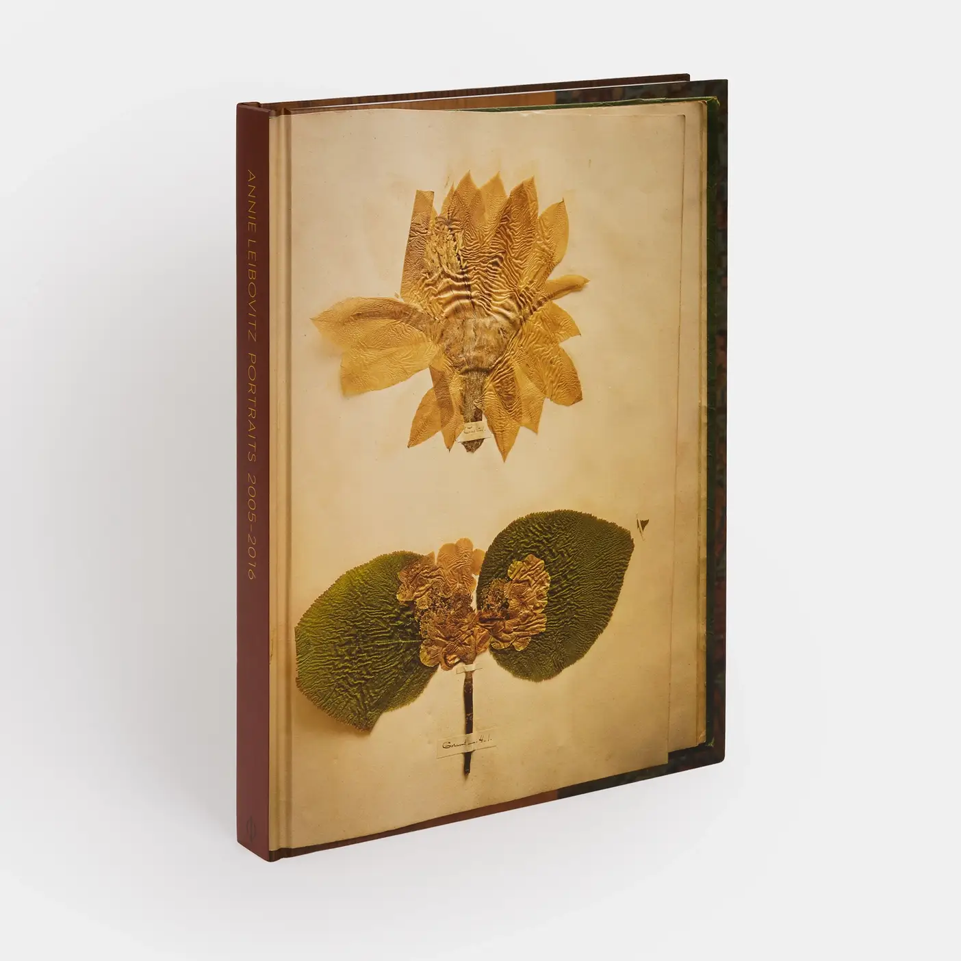 Phaidon - Wholesale Display Book - Annie Leibovitz: Portraits 2005-201611