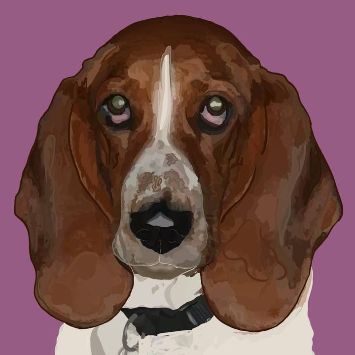 Bassett Hound pour la vente par Dogs And Designs