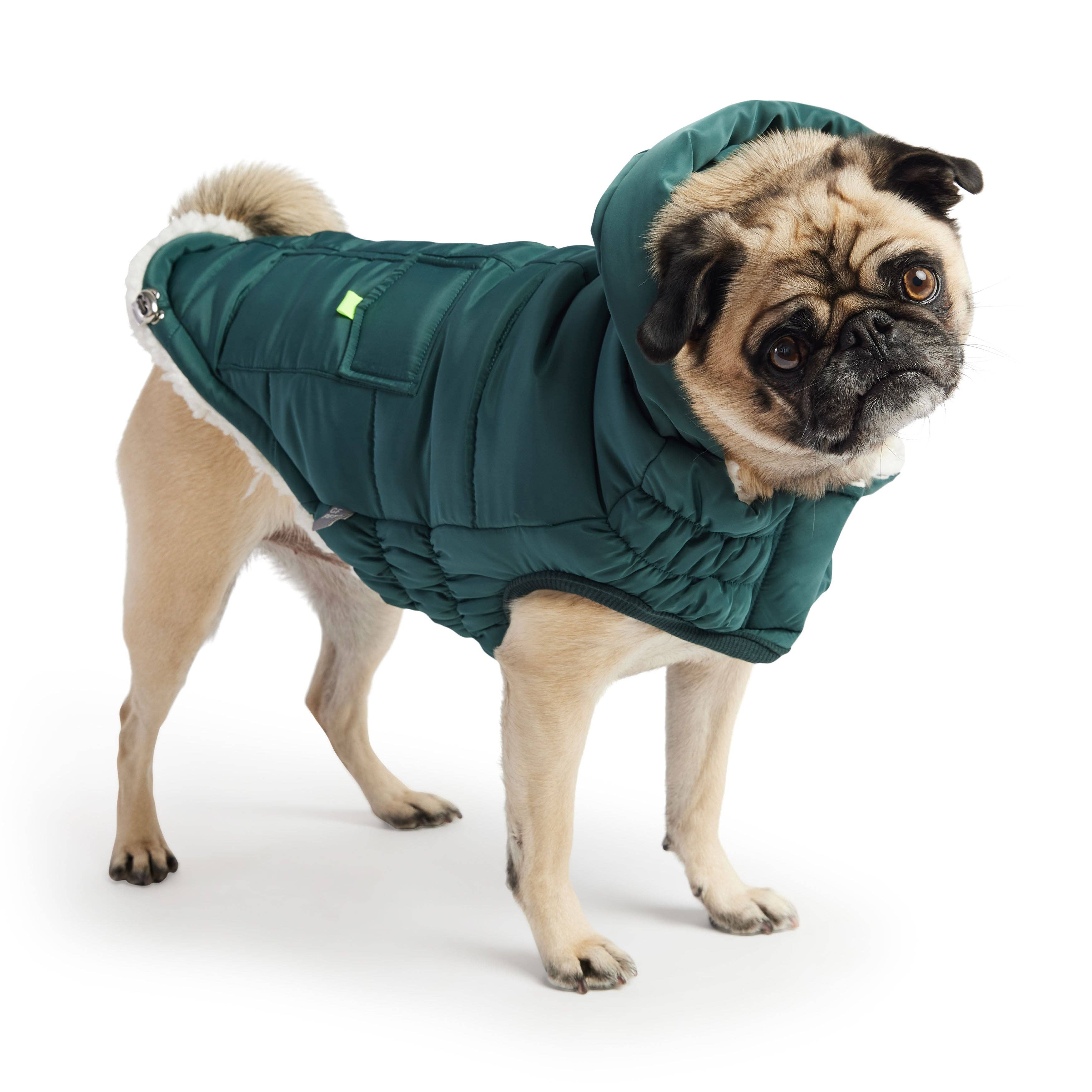 GF Pet - Venta al por mayor Abrigo - Perros - Parka GF Pet The Puff, color verde azulado1