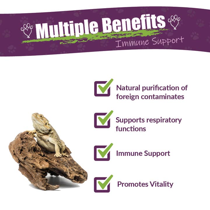 Amber NaturalZ, Inc. - Wholesale Pet Supplement - Cat/Dog - Reptaid | Reptile Supplement