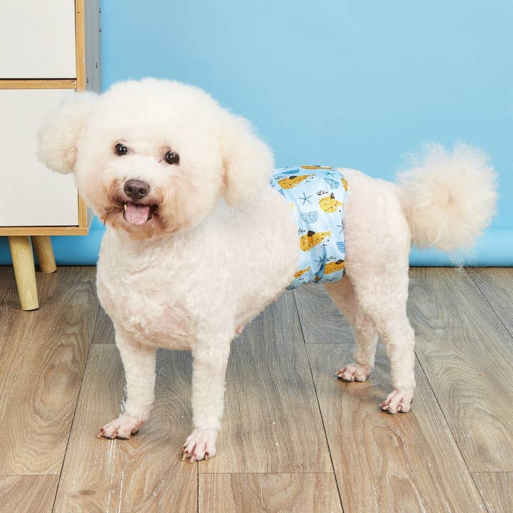 PAWPAWwholesale - Wholesale Pet Diaper - Dog - Male Dog Diaper Wrap – Reusable & Waterproof_CWMM730419
