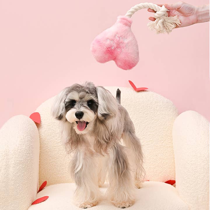 Hugsmart Products Inc - Wholesale Pet Plush Toy - Dog - HugSmart Pet - Woof Love | Love is in the air - Plush Toy