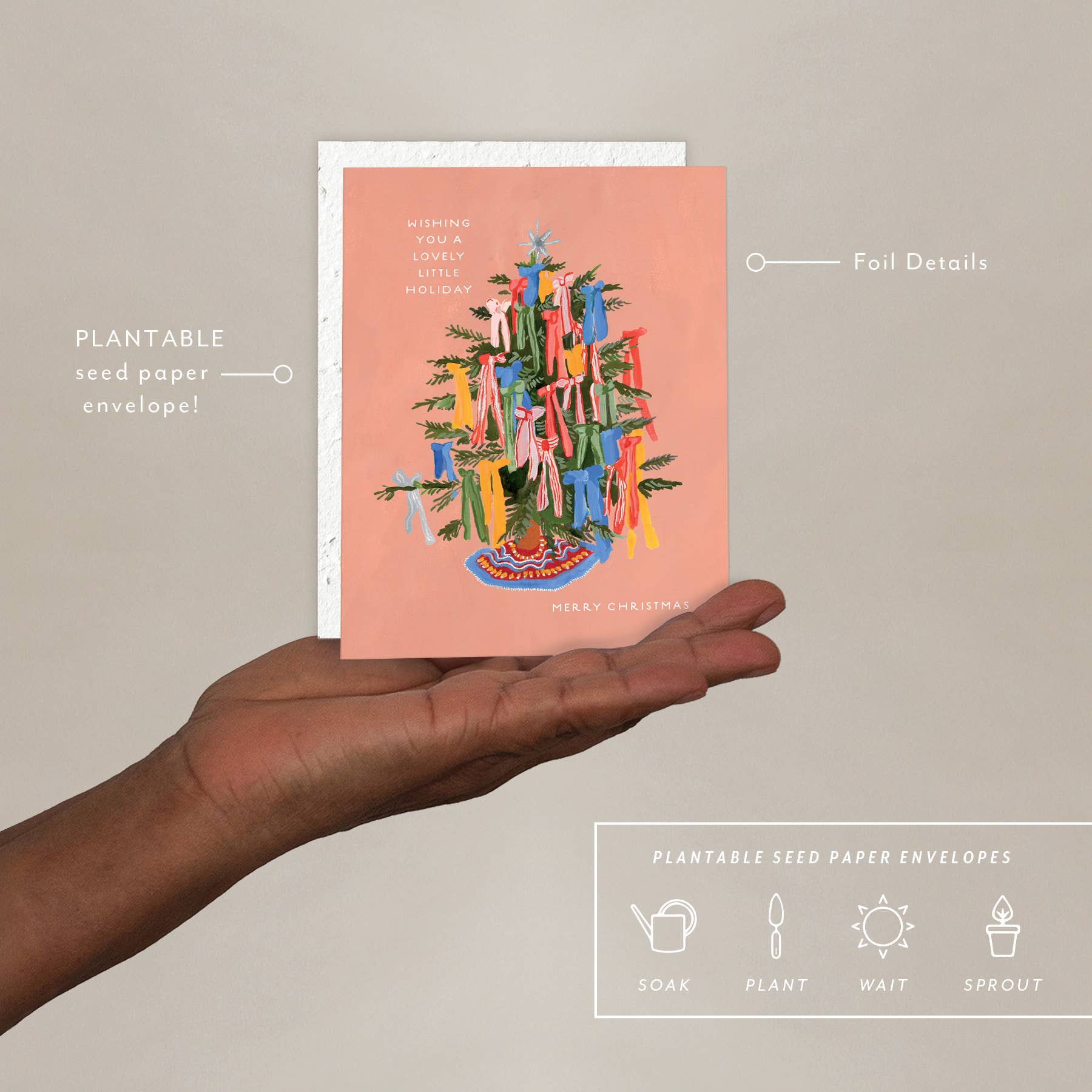 Seedlings – wholesale Julkort – Julrosetter - Julkort1