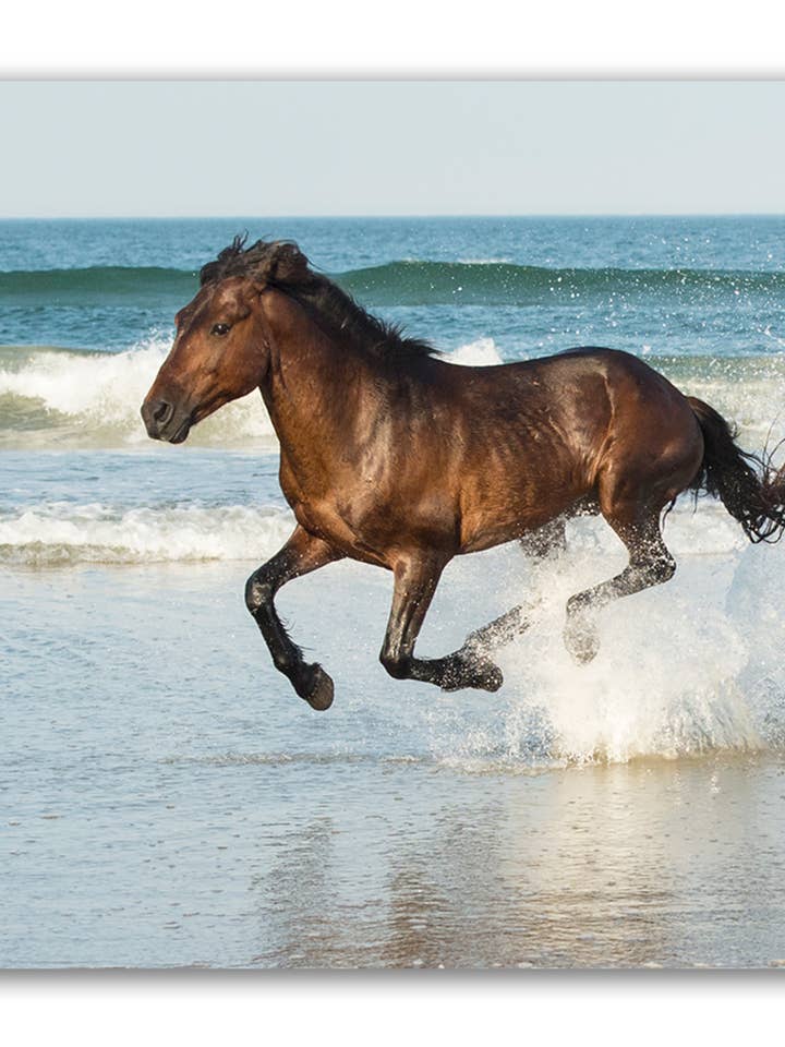 Run Like The Wind, Canvas Wall Art for wholesale by Artography Limited