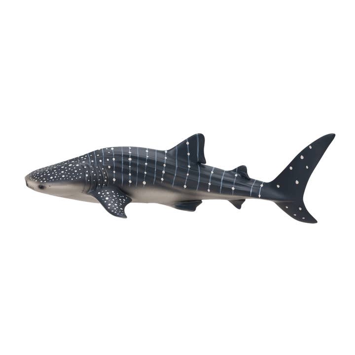 Whale Shark for wholesale by Mojo Fun Ltd