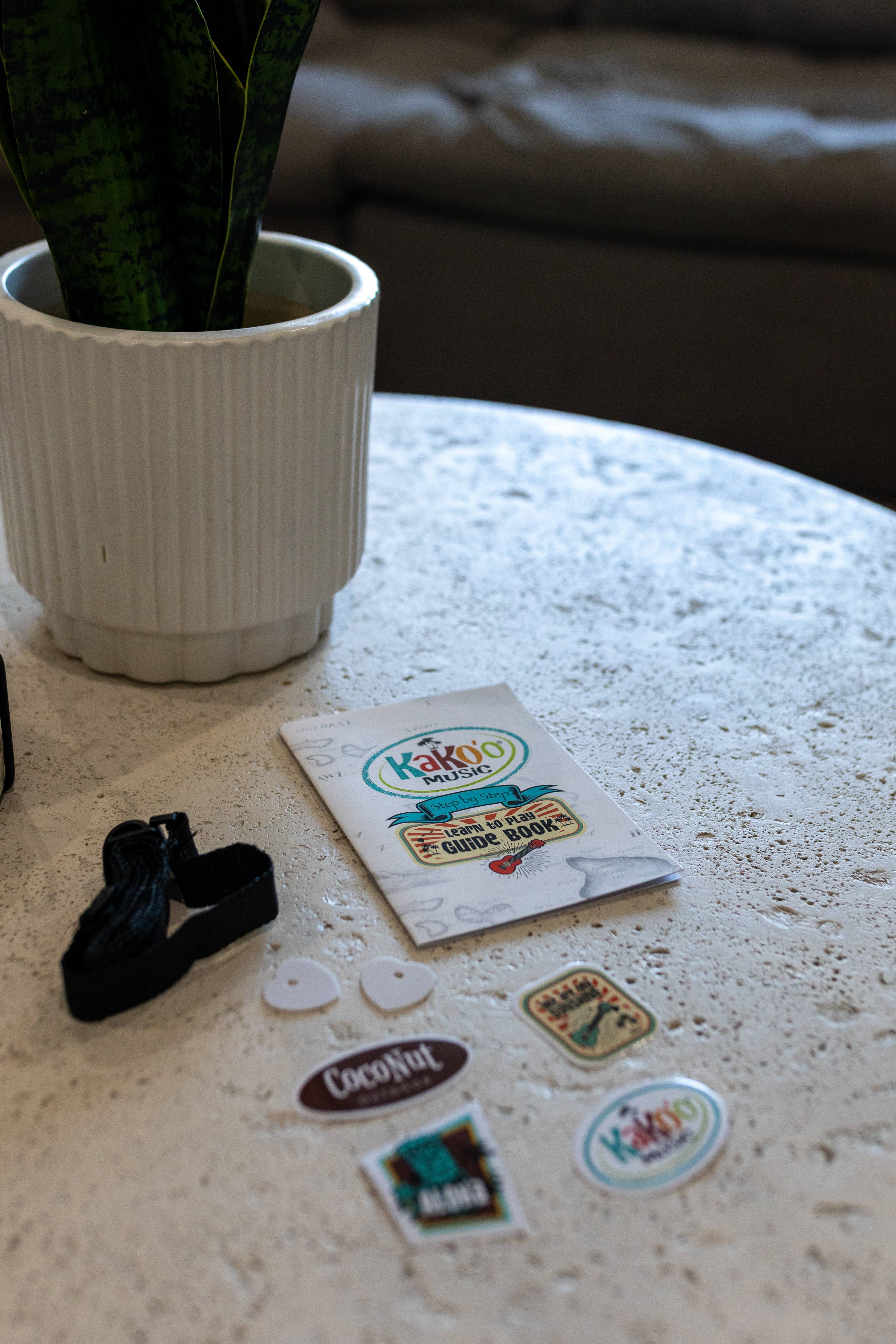 Coconut Outdoor - Wholesale Musical Instrument - KaKo'o Ukuleles - Assorted 6pk13