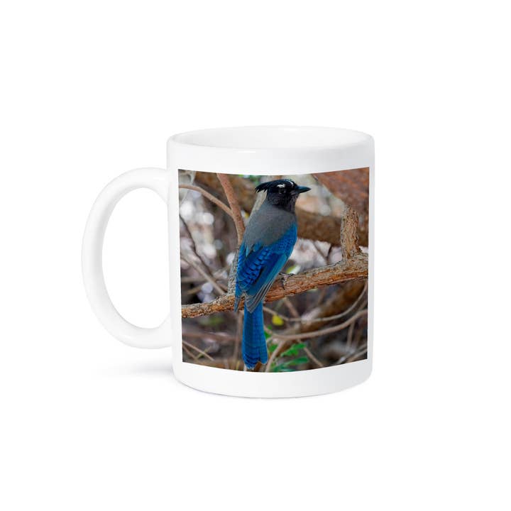 3dRose - Wholesale Coffee Mug - 3dRose, Stellers Jay, Cyanocitta stelleri, Arizona, Mug8
