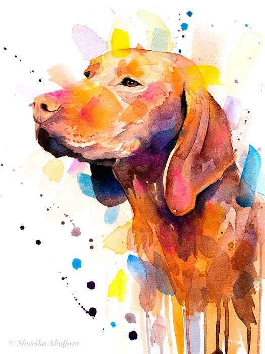 Vizsla, peinture à l'aquarelle avec chien, animal de compagnie mignon, art mural pour la vente par Slaveika Aladjova