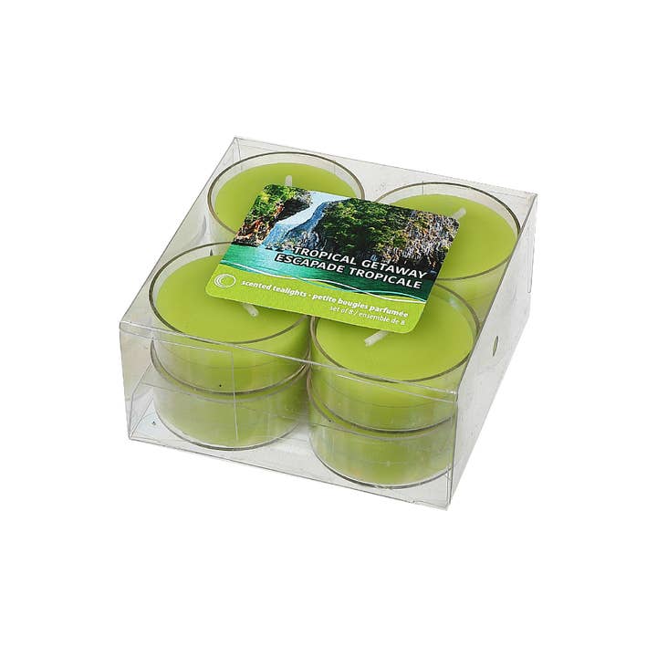 Lot de 8 bougies chauffe-plat parfumées Tropical Getaway pour la vente par IH Casa Decor