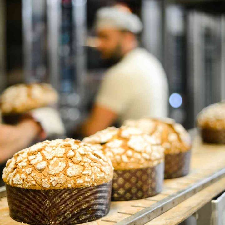 Piccolo Forno - Vendita all'ingrosso Preparati per pane - Panettone artigianale 500grammi