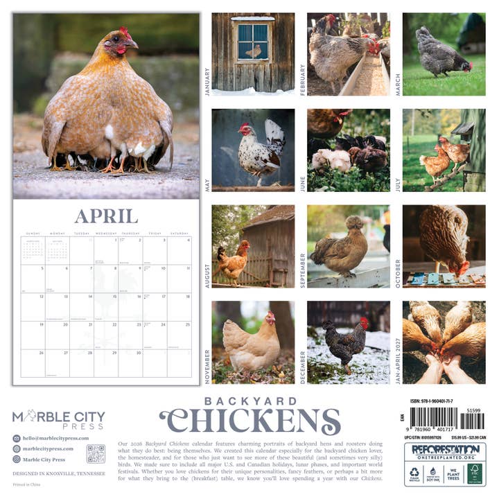 Marble City Press - Wholesale Calendar - Chickens 2026 Wall Calendar Marble City Press1