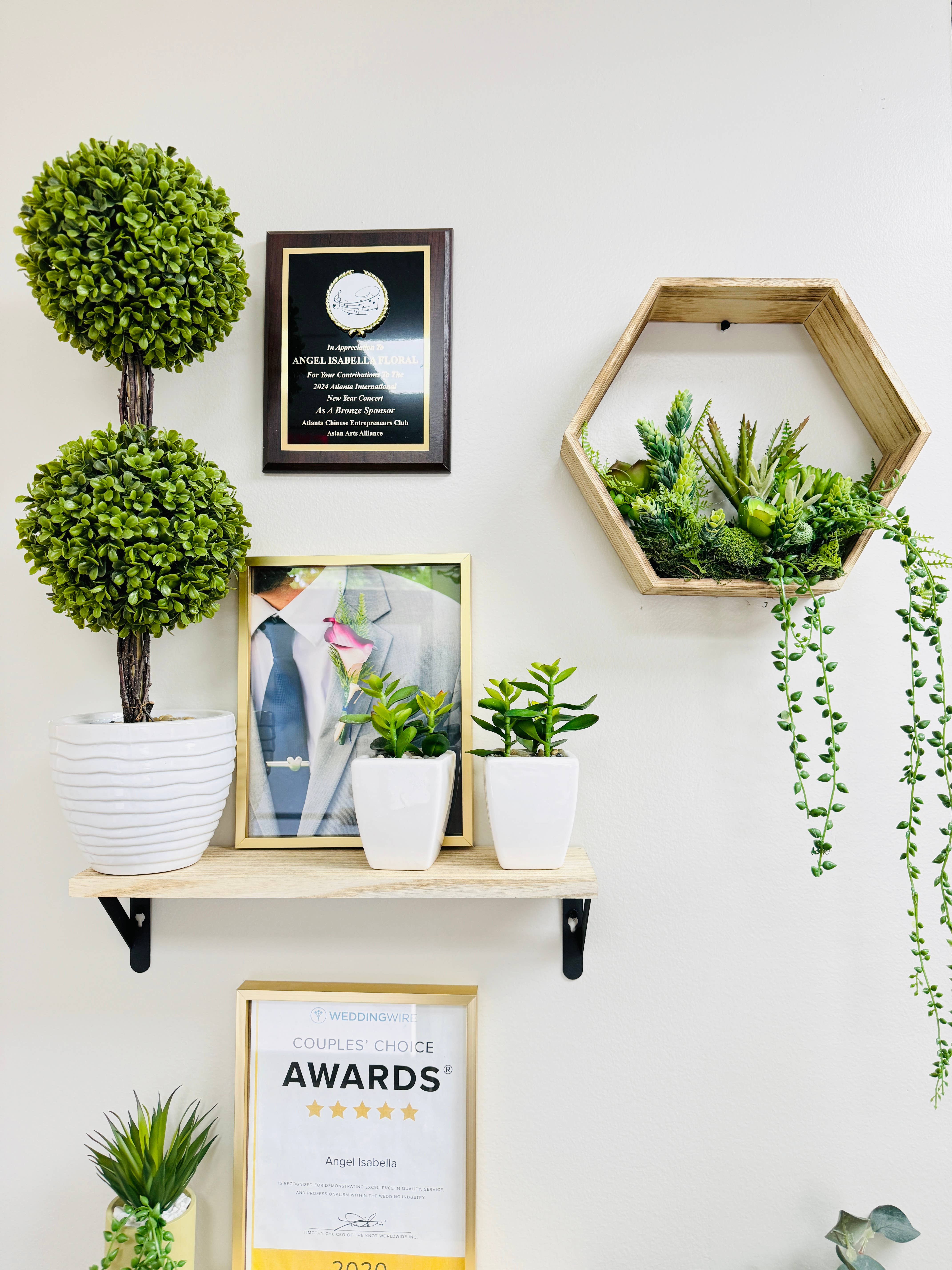 Angel Isabella - Wholesale Live Plant - 10oz or 1lb Bulk Pack-Naturally Preserved Green Moss8