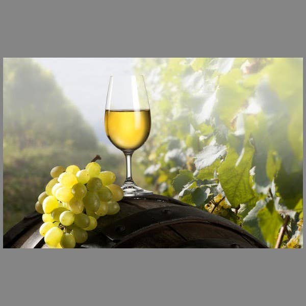 Cibi & Sapori - Vendita all'ingrosso Vino bianco - Adènzia Sicilian white wine2