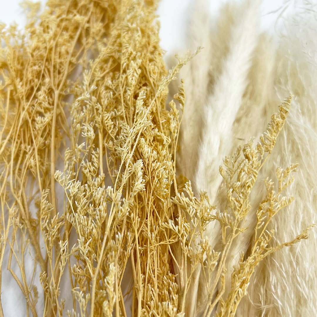 2626 Designs - Wholesale Dried/Pressed Flowers - Real Preserved Mixed Bouquets Mix 8 Small - Med - Large10