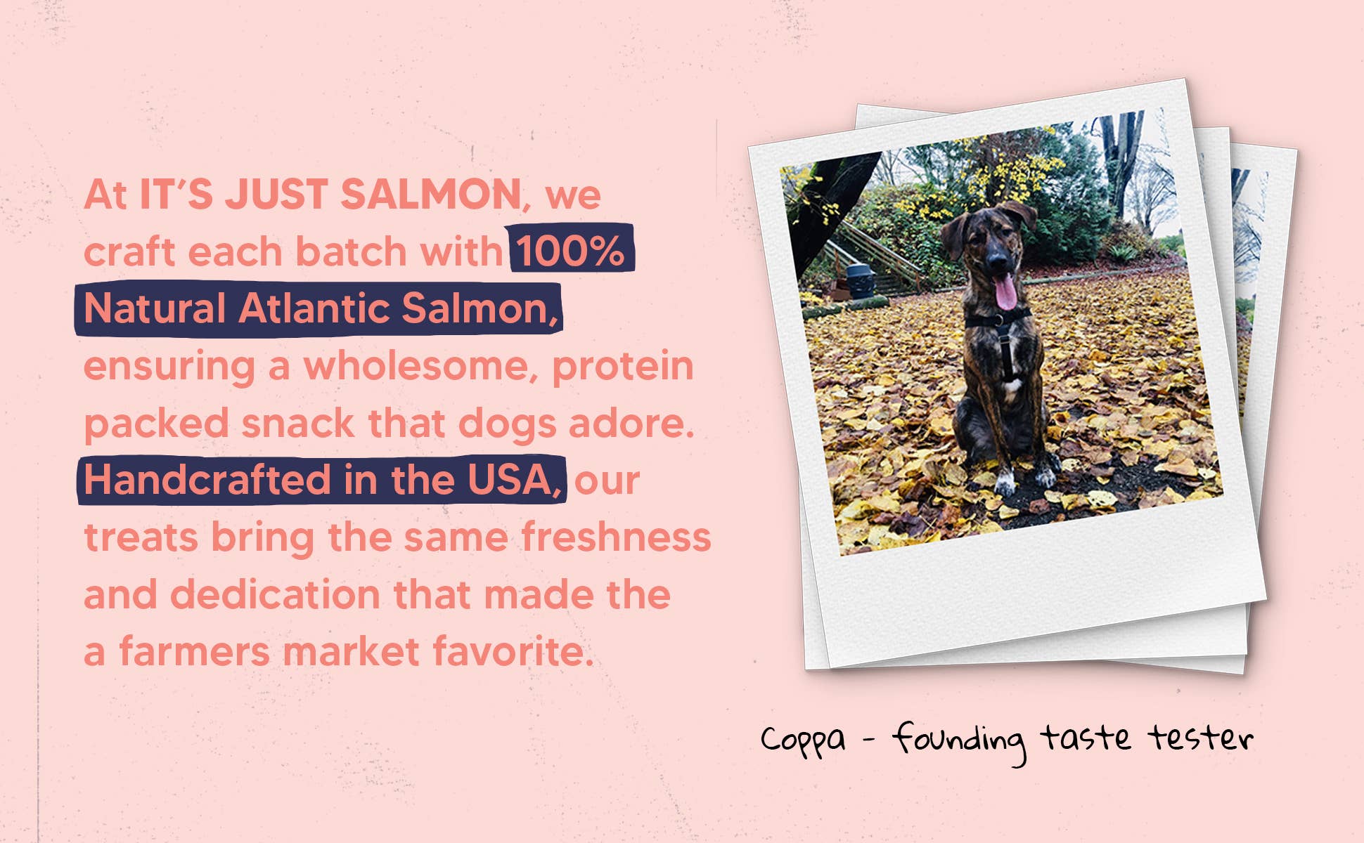 It's Just Salmon - Wholesale Pet Treats - Dog - It's Just Salmon Gourmet Dog Treats, 100% Natural, 10 oz.5