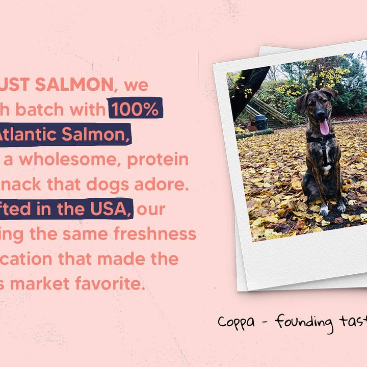 It's Just Salmon - Wholesale Pet Treats - Dog - It's Just Salmon Gourmet Dog Treats, 100% Natural, 10 oz.5