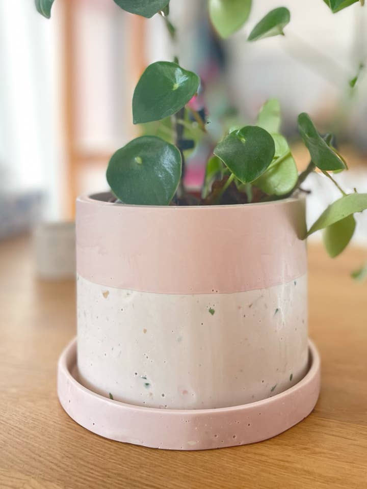 Terracotta krukke med underskål for engroshandel hos Kookie