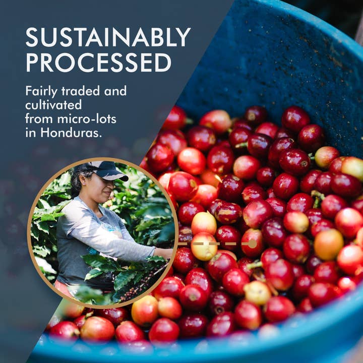Spirit Animal Coffee – wholesale Coffee beans – Cup of Excellence Parainema Specialty Coffee