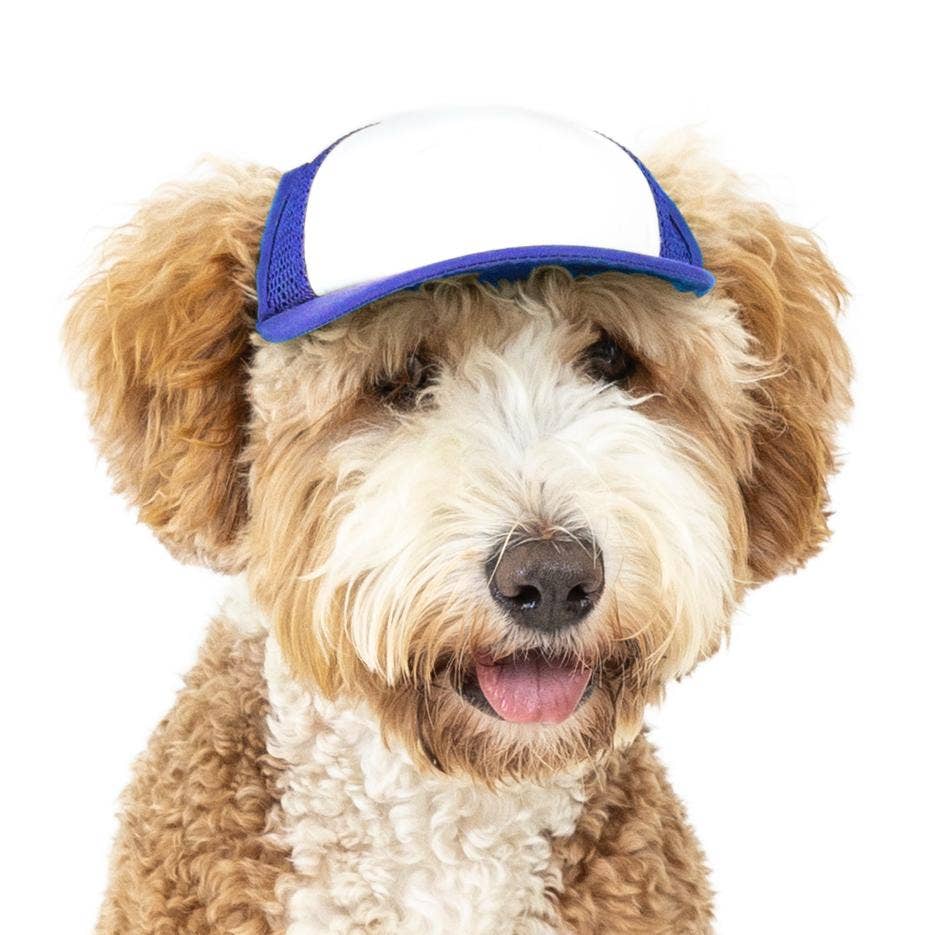 PupLid – wholesale Hatt - Hund – Blank Foam truckerkeps för hundar10
