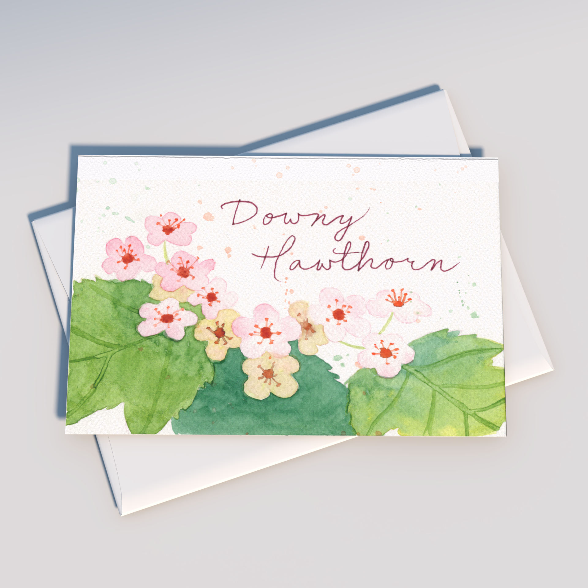Tiday Art - Wholesale Everyday Greeting Card - Pennsylvania Native Plants Greeting Card Pack – A6 Set of 64