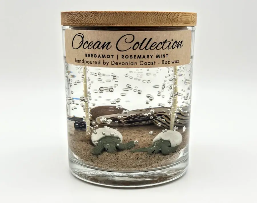 Devonian Coast - Wholesale Novelty Candle - Sea Turtle Hatchling Gel Candle – Large 8oz Wax3
