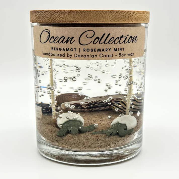 Devonian Coast - Wholesale Novelty Candle - Sea Turtle Hatchling Gel Candle – Large 8oz Wax3