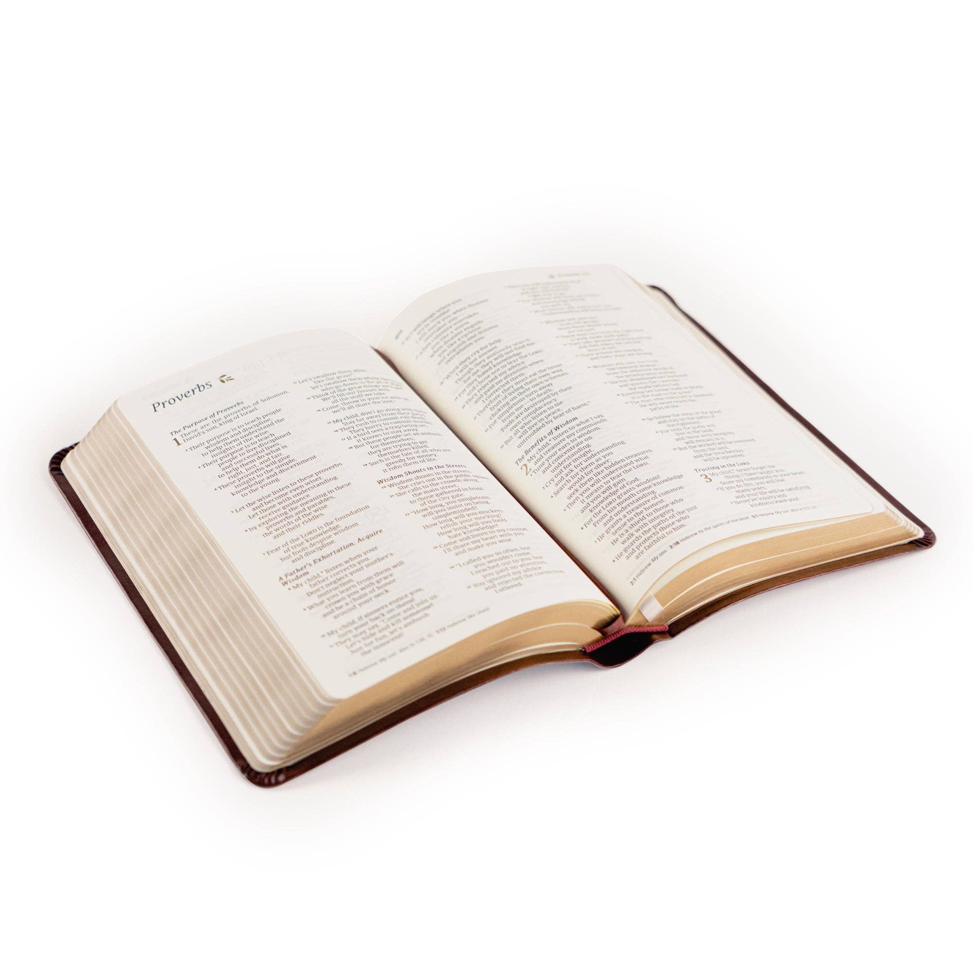 Hosanna Revival - Vente Livre à exposer - NLT Bible Compacte : Thème Yorkshire5