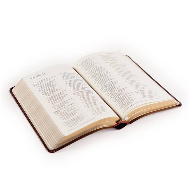 Hosanna Revival - Vente Livre à exposer - NLT Bible Compacte : Thème Yorkshire5