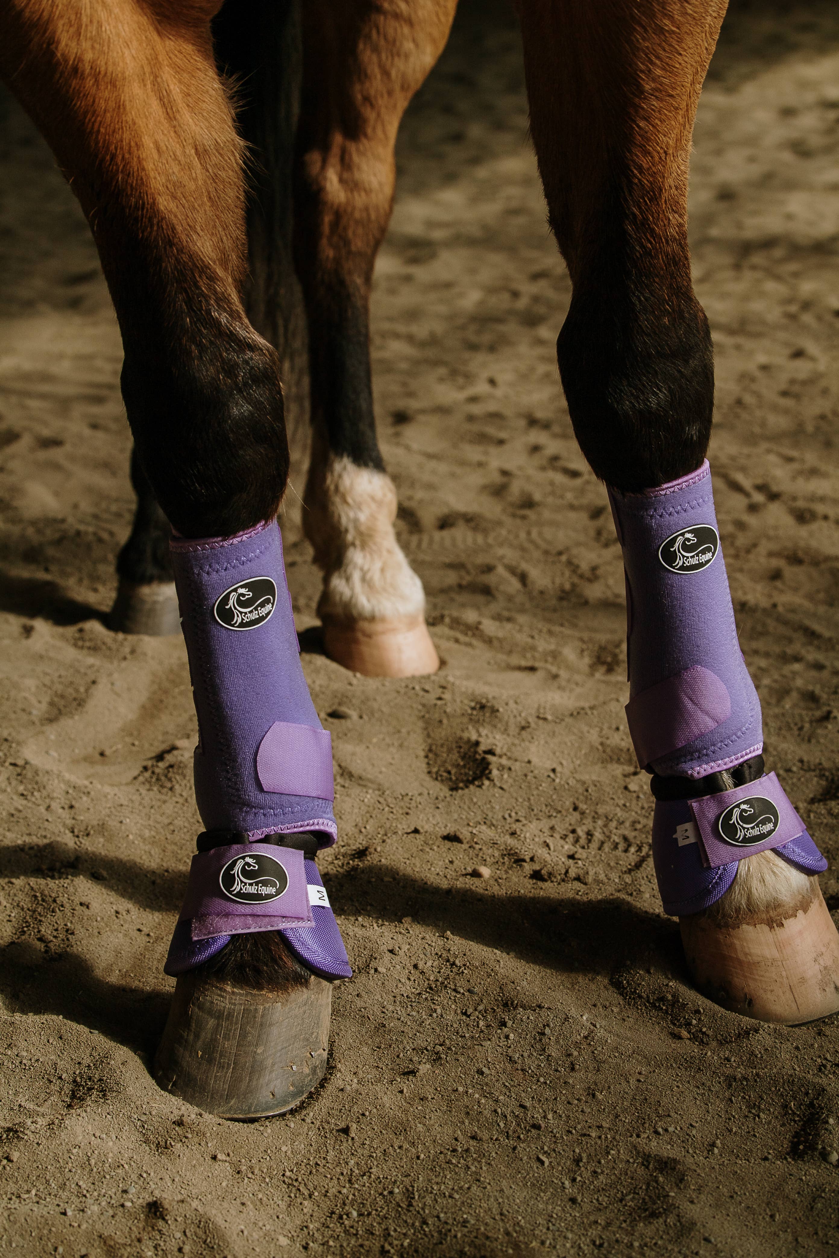 Schulz Equine - Vendita all'ingrosso Attrezzatura da equitazione - Stivali sportivi AirFlow - Confezione da 22