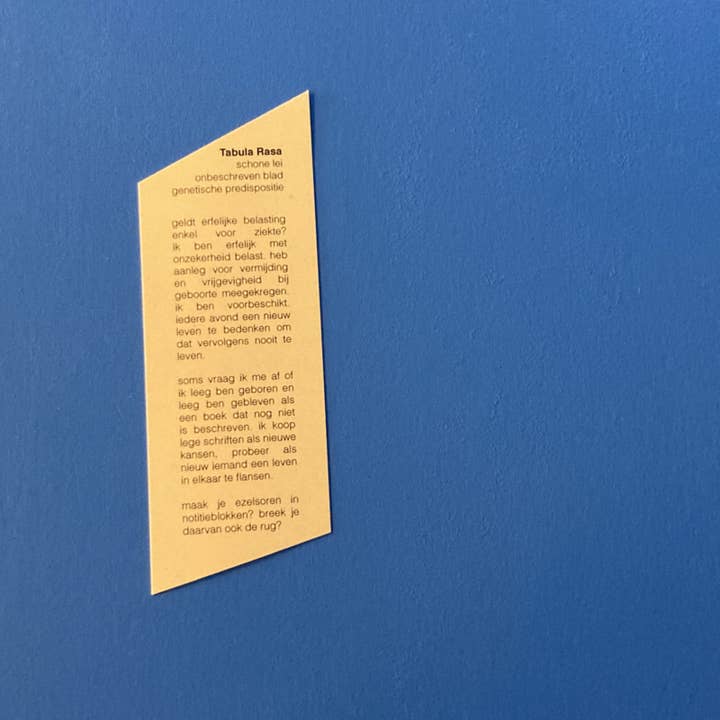 Loopvis – wholesale Journal/diary – Project agenda5