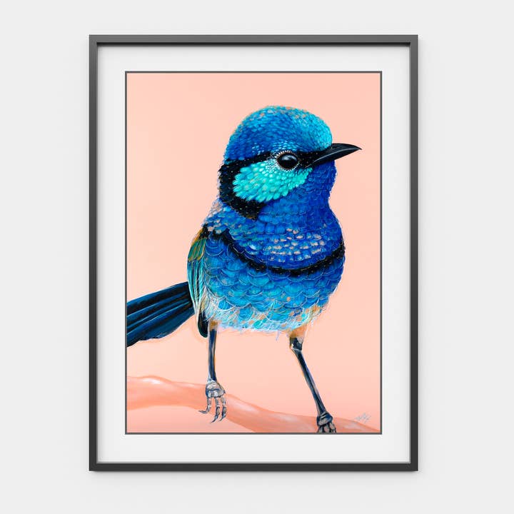 Jess Hutchison Art - Wholesale Art print - Charlie the Splendid Fairy Wren A4 art print 0