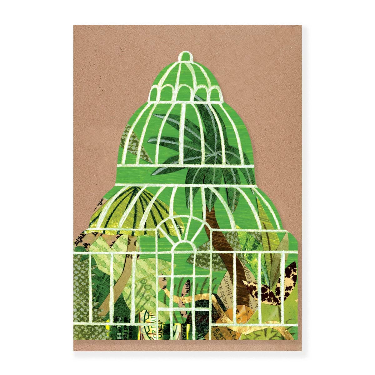 Mortlake Papers - Wholesale Everyday Greeting Card - Palm House Shaped Greeting Card2