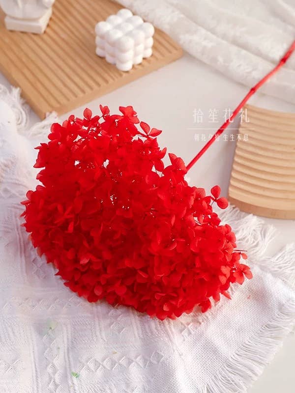 Hortensia stabilisé rouge for wholesale by Yaxinfloral