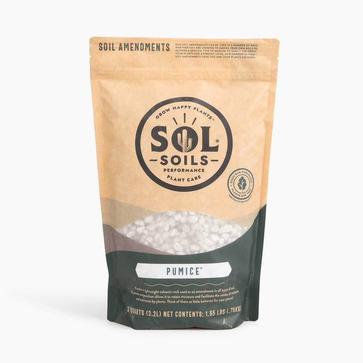 Amendments (2Qt) Pumice for wholesale by Sol Soils