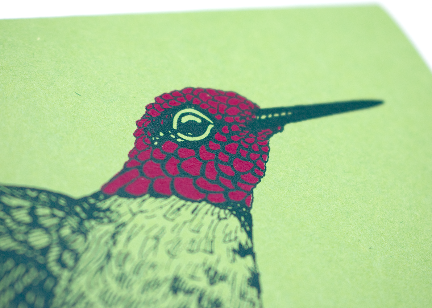 Farm and Finch Creative - Wholesale Everyday Greeting Card - Anna's Hummingbird Card2