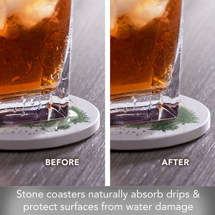 CounterArt/Highland Home/Thirstystone - Wholesale Coasters - Winter Woodlands Round Absorbent Stone Coaster 4pk3