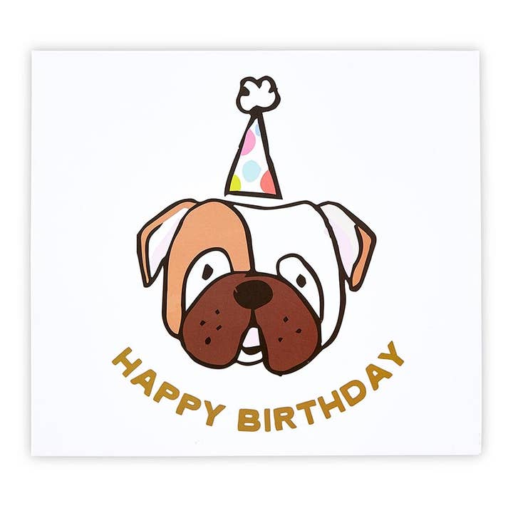 Pet Birthday Kit - Happy Birthday Dog for wholesale by Slant Collections by Creative Brands