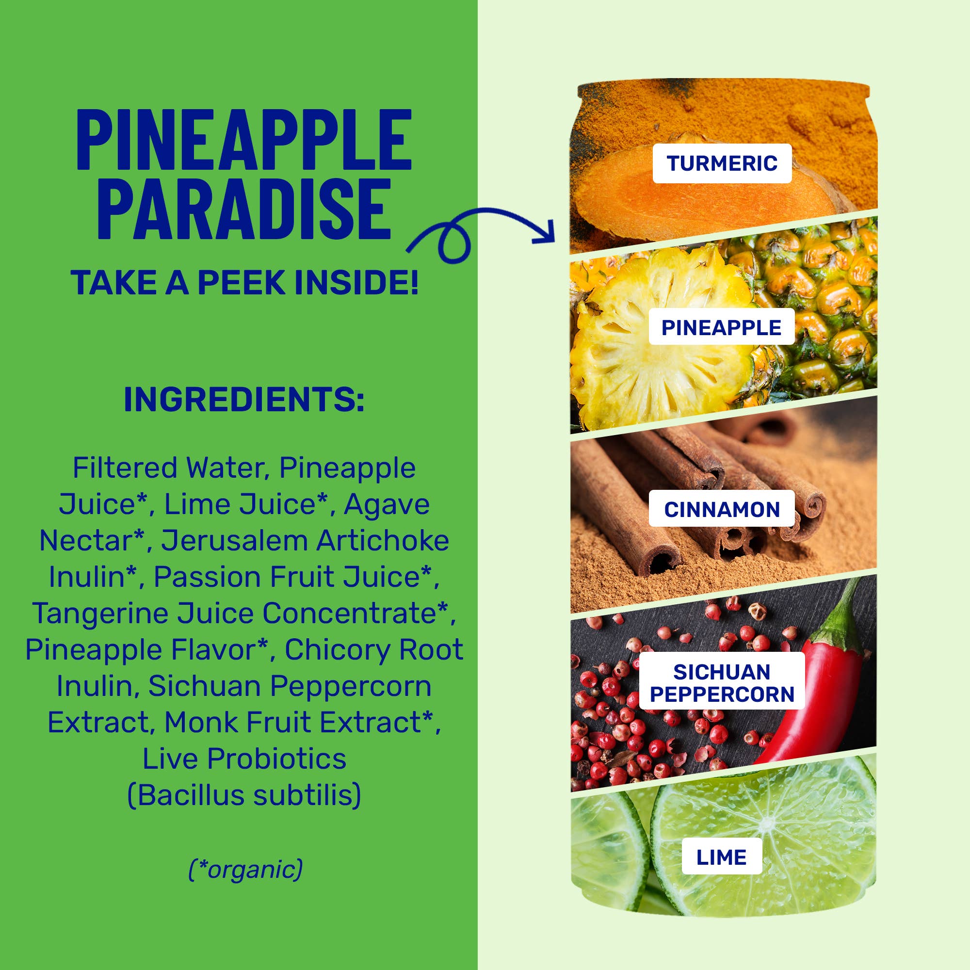 wildwonder - Wholesale Sparkling Water - Pineapple Paradise Sparkling Prebiotic + Probiotic Drink3