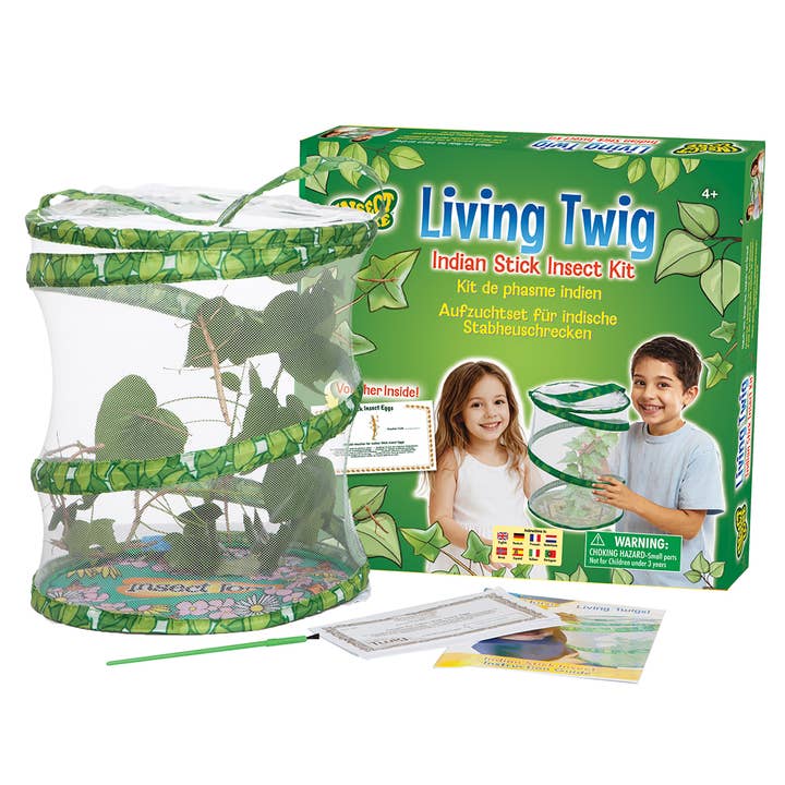 Living Twig Kit (Redemption) for wholesale by Insect Lore