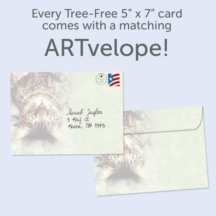 Tree-Free Greetings - Wholesale Birthday Card - Perspective Birthday Card 6 Pack