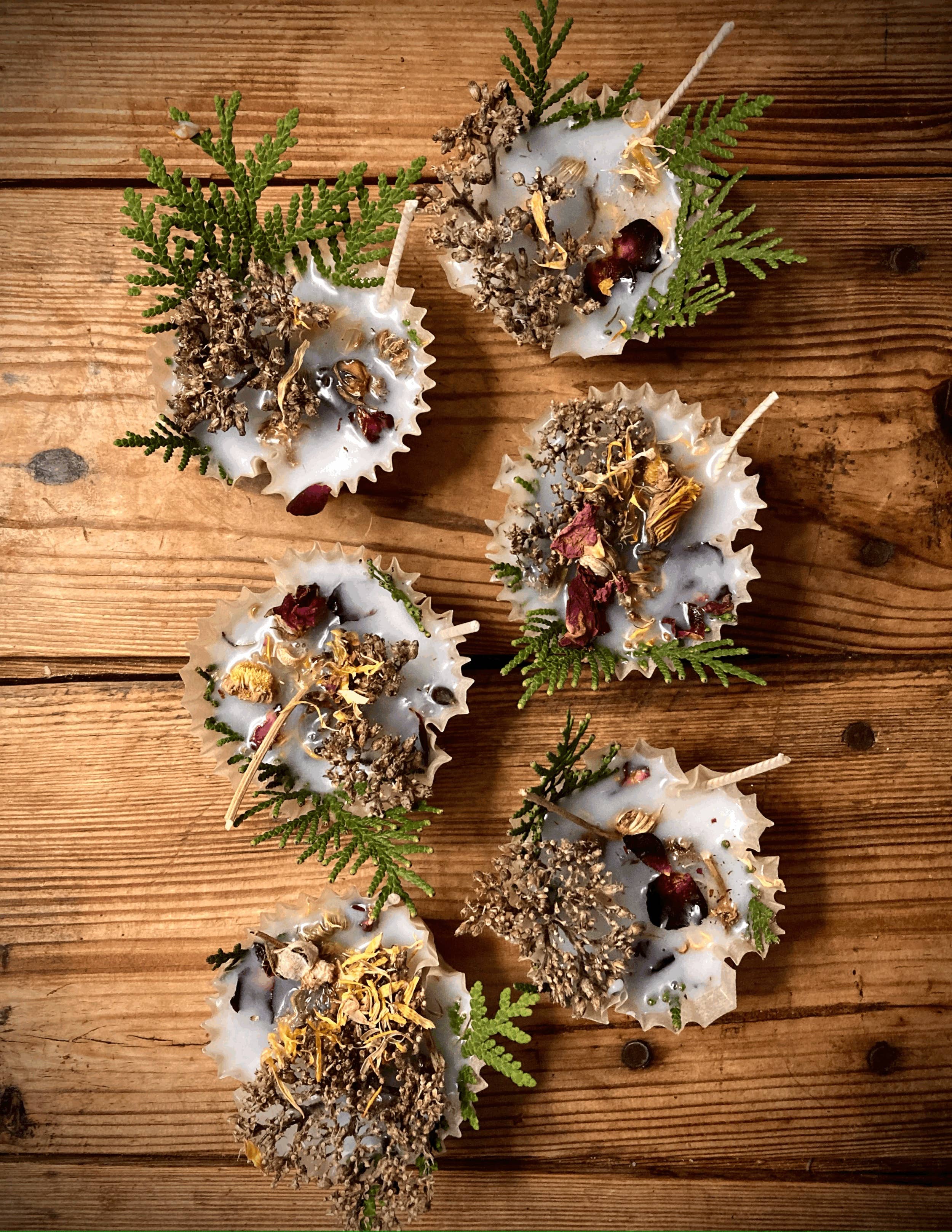 Thankful Sage Farm School - Wholesale Outdoor Candle - Bellyfire Bonfire Starters 2