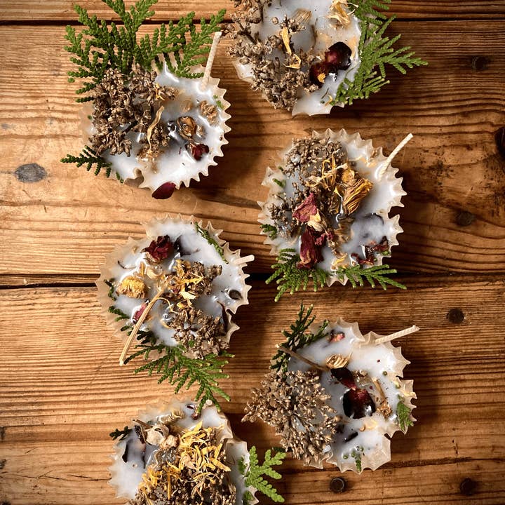 Thankful Sage Farm School - Wholesale Outdoor Candle - Bellyfire Bonfire Starters 2