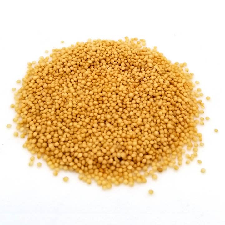Dried Amaranth Grains 9 Lb Tub for wholesale by Saturiwa Trading Company