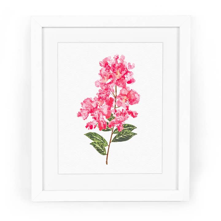 Crepe Myrtle Watercolor Art Print for wholesale by CharmCat