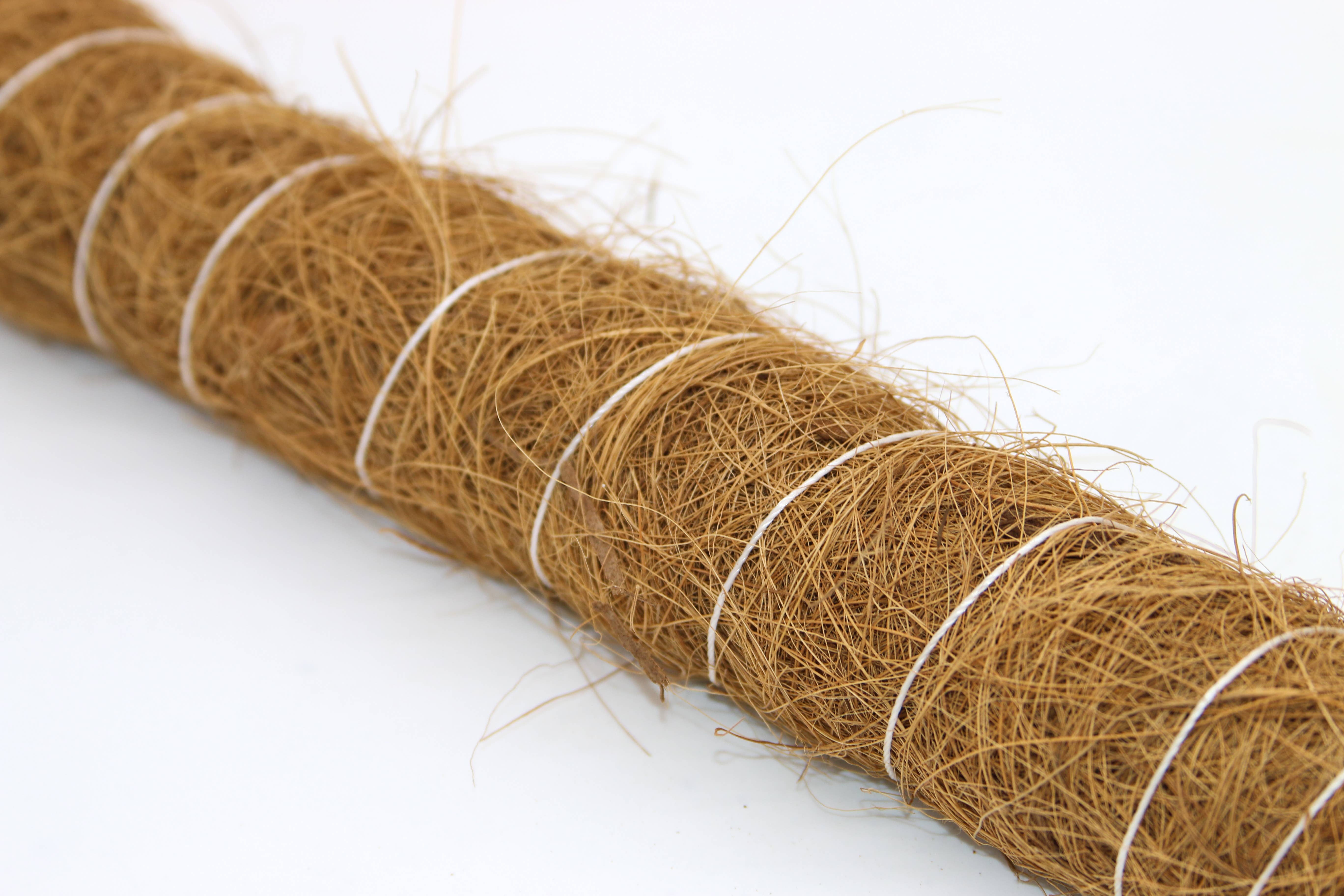 CoirProducts.co.uk of Salike Limited – ferramenta de jardinagem por atacado – Natural Coir MosSpole | Suporte de Plantas | Growpoles | Monstera3