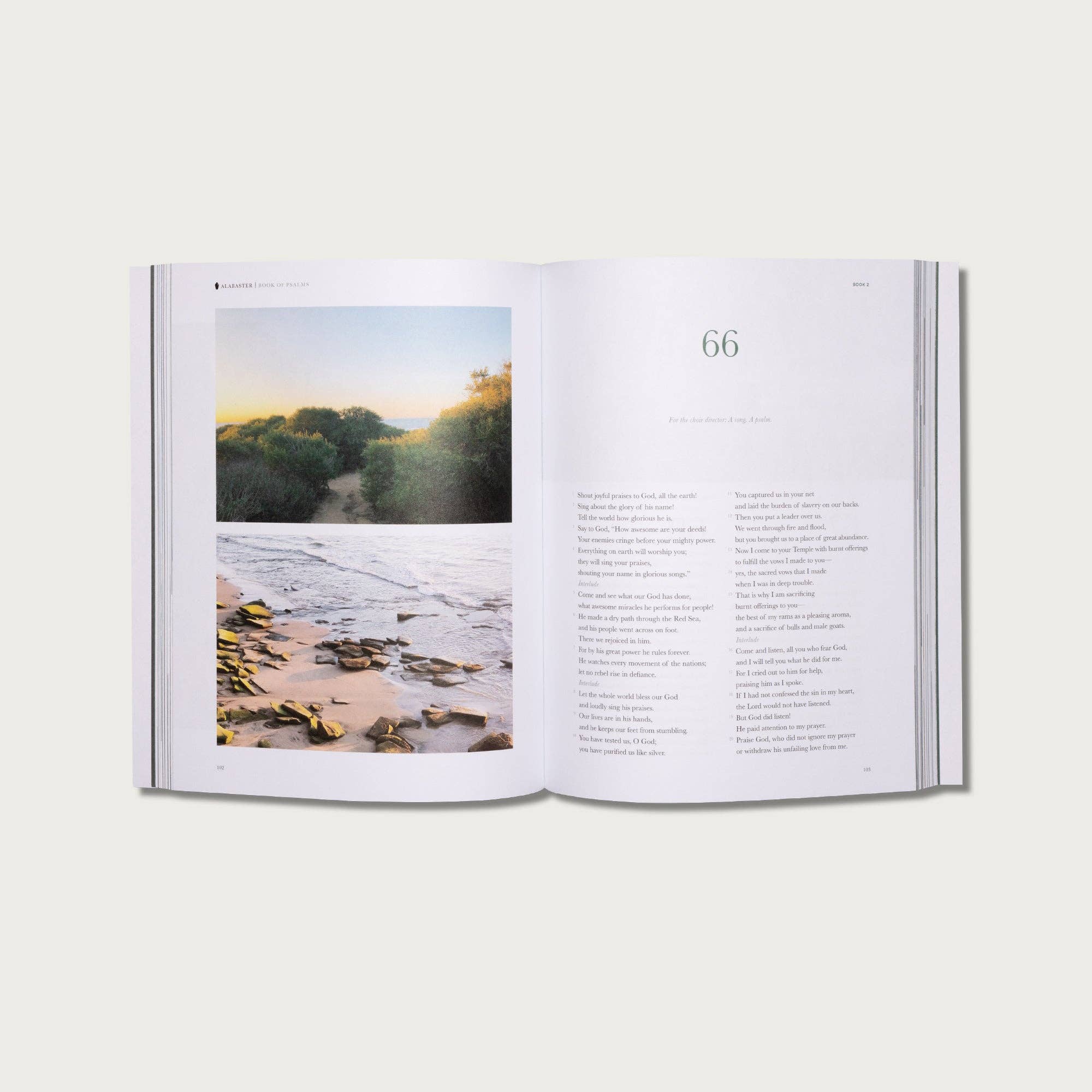 Alabaster Co - Vente Livre sur la religion - Le livre des psaumes9