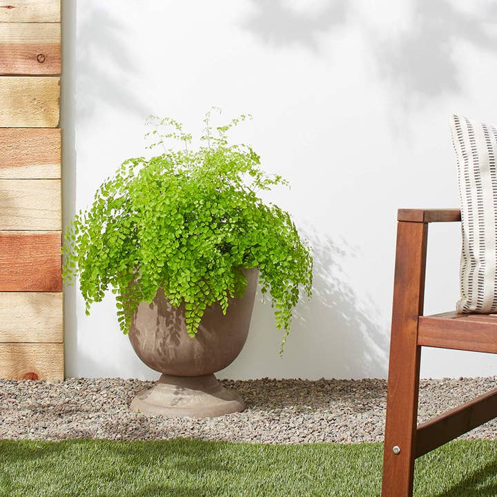 Arcadia Garden Products - Wholesale Plant Pot - PSW Pots- Classical Urn8